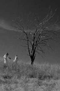 Paper Moon